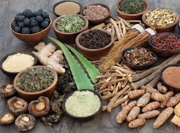 Ayurvedic herbs representing the clinic's natural healing approach